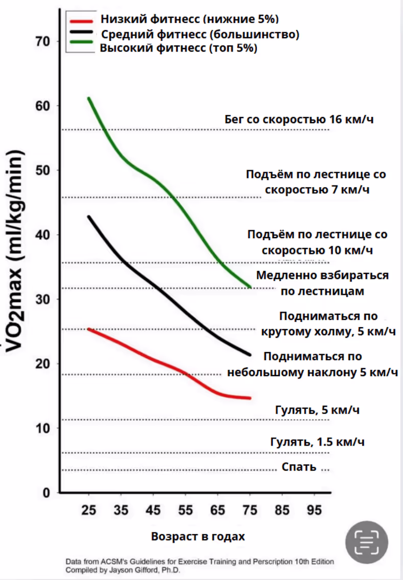 Возраст в годах - vo2max
