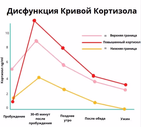 Дисфункция кривой кортизола