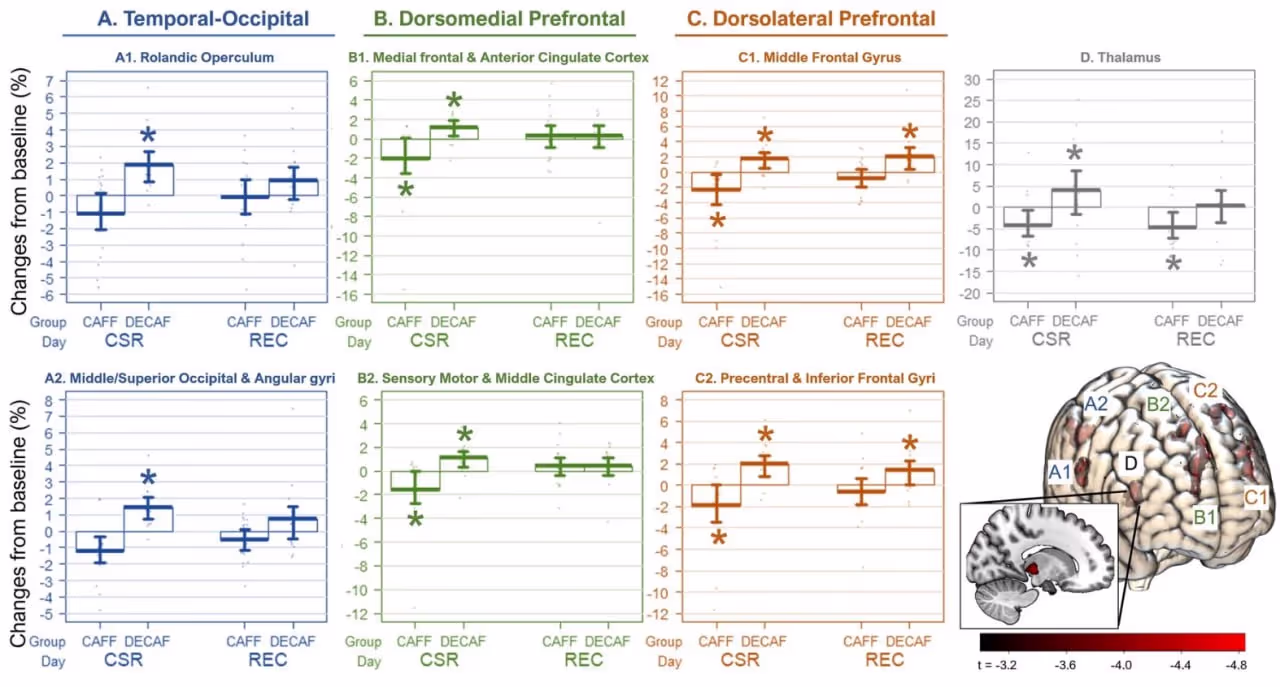 Влияние недосыпа на мозг