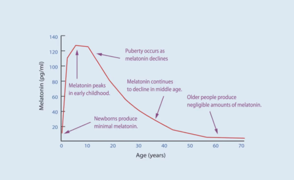 Падение мелатонина с возрастом