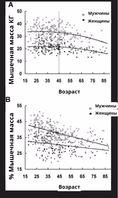 Мышечная масса кг к возрасту