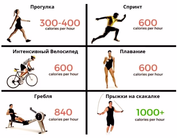 Физическая активность и сжигание калорий