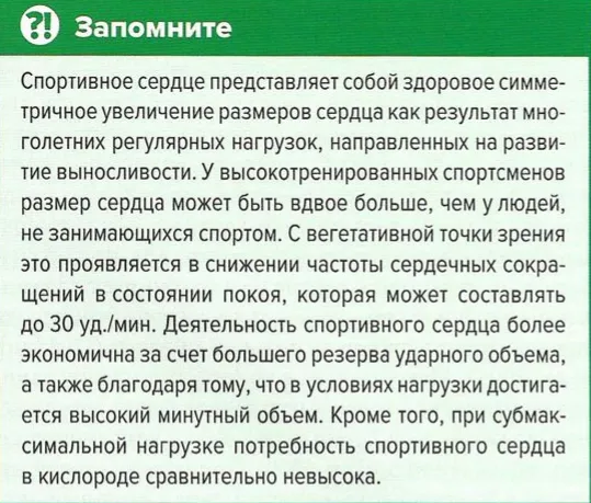 Спортивное сердце