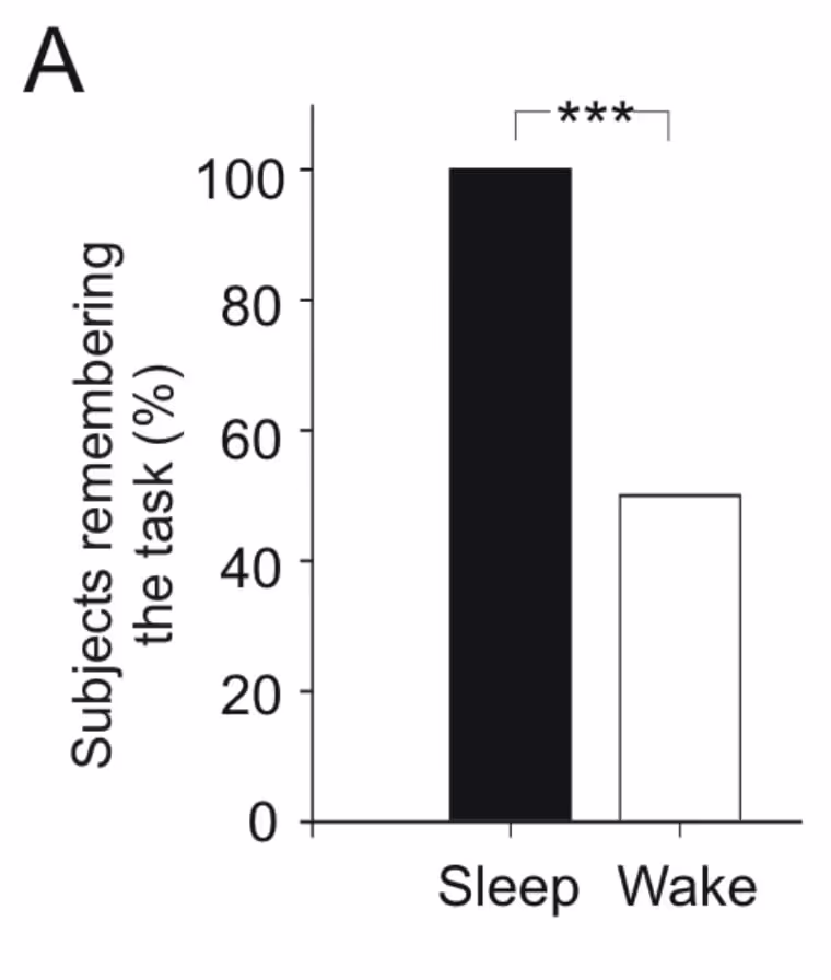 Субъекты запоминающие задачу